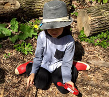 Why early childhood education?